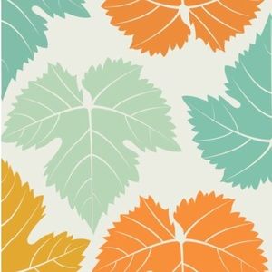 Meet your Posher, Ashlynn